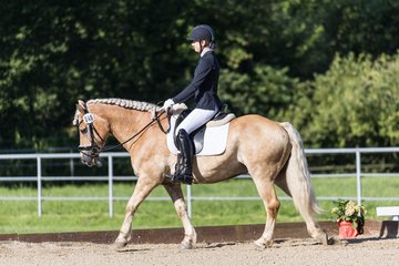 Bild 84 - Pony Akademie Turnier